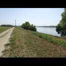 Nur selten sahen wir durch Schneisen in der Uferbewaldung die Donau